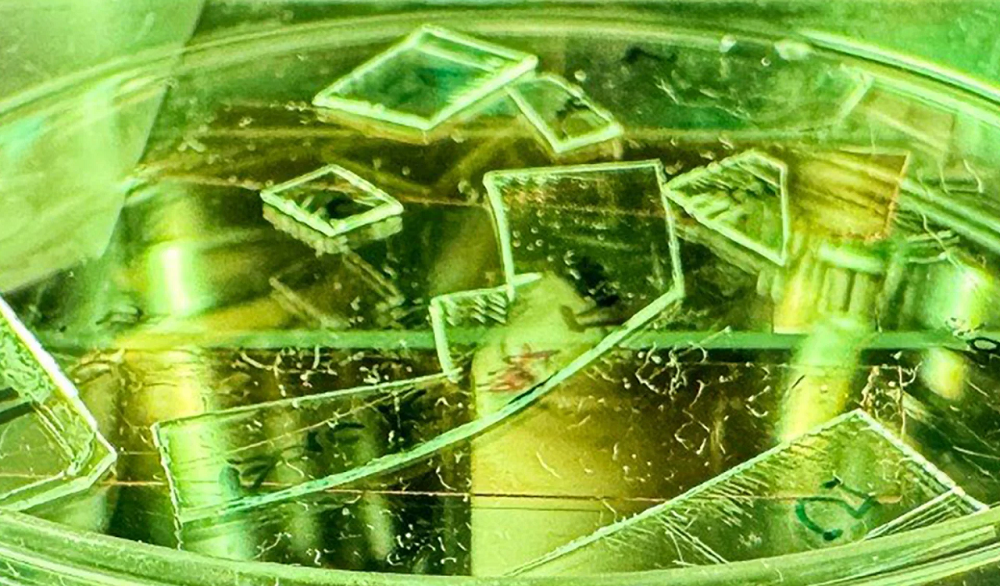 Наношипы, убивающие вирусы: австралийцы создали «самоочищающуюся» поверхность