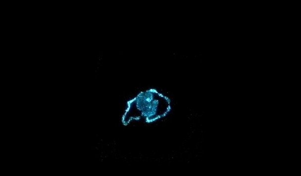 Ученые заставили водоросли светиться и очищать воздух