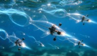 Нанороботы помогут добывать литий прямо из морской воды