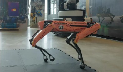 Пористые 3D-печатные лапы помогают четвероногим роботам экономить заряд