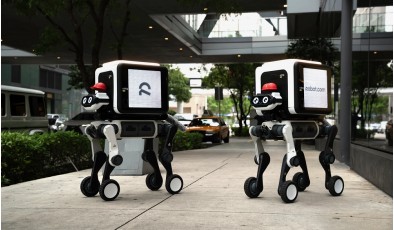 Робопёс R-dog доставляет посылки и заодно показывает рекламу