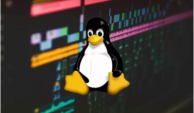 ИИ нашел столько уязвимостей в Linux, что разработчики не успевают их обрабатывать