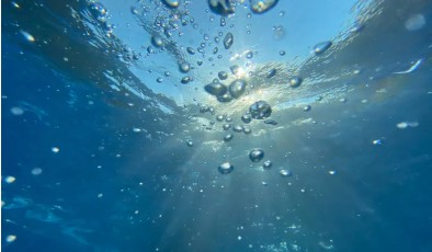 Солнечные панели научились работать под водой — и выдерживать морскую среду