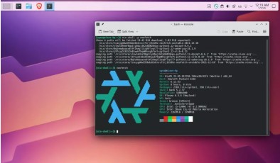 Нидерланды создают собственную Linux-систему, чтобы снизить зависимость от Microsoft