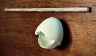 Яичная скорлупа может стать неожиданным ингредиентом для создания прочных металлических сплавов