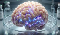 Выращенные в лаборатории мини-мозги научились распознавать шрифт Брайля и управлять робособакой