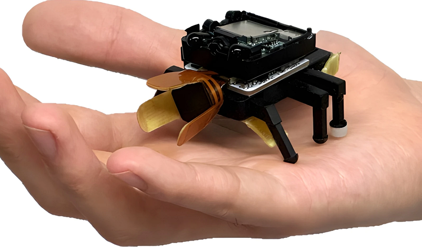 Робот-жук BeetleBot: управлять машиной можно движением пальца