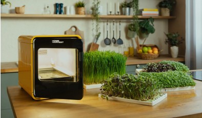 Умная ферма Home Harvest выращивает свежую зелень на кухне всего за восемь дней