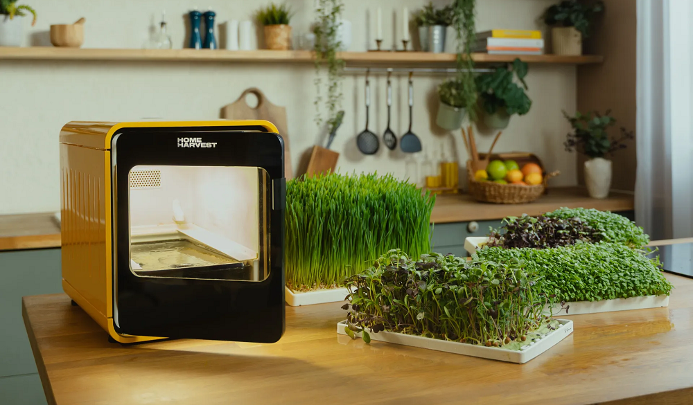 Умная ферма Home Harvest выращивает свежую зелень на кухне всего за восемь дней